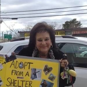 Meet your Posher, Joyce